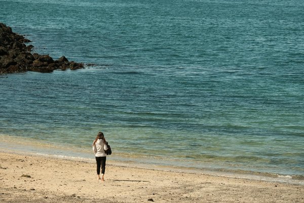 Découvrir les professions de la santé mentale : Psychiatres, psychologues et thérapeutes